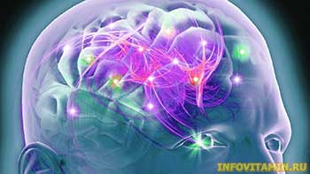 Эпилепсия — симптомы, причины, лечение. Витамины, травы и добавки при эпилепсии