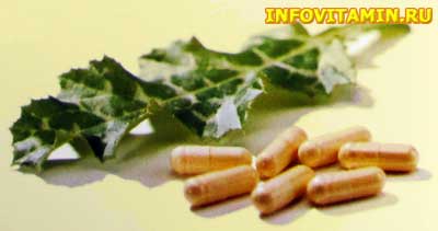 Milk thistle extract helps with alcoholic liver damage