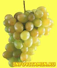 Виноградные косточки — свойства и применение, роль экстракта виноградных косточек в организме, противопоказания
