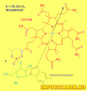 Витамин B12 (кобаламин